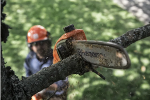HUSQVARNA POLE SAWS