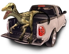 Raptor Truck Bed Liner