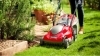 MOUNTFIELD Electric Lawn Mowers