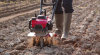 HONDA Tillers