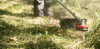 HONDA Brushcutters and Strimmers