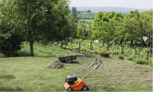 STIHL LAWN SCARIFIERS